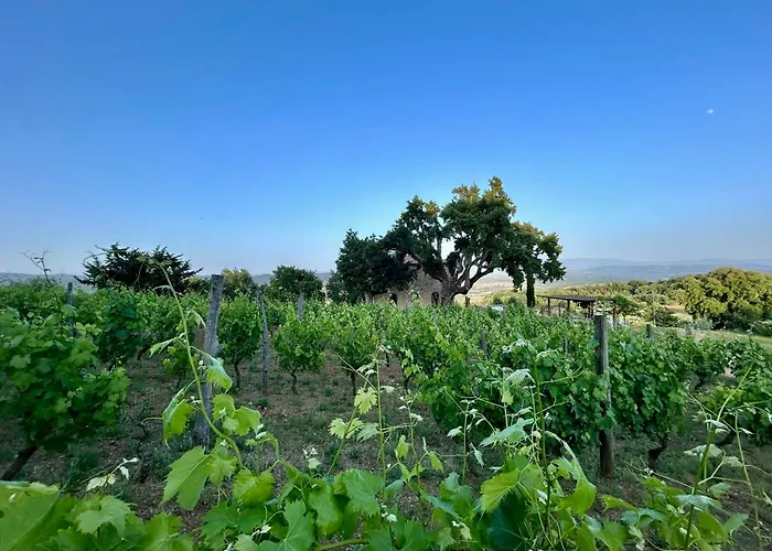 Luxury Overlooking Val D'orcia Ferienhaus Roccastrada