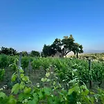 Luxury Overlooking Val D'orcia 펜션 로까스트라다