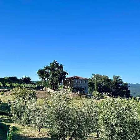 Semesterbostad Luxury Overlooking Val D'orcia Roccastrada
