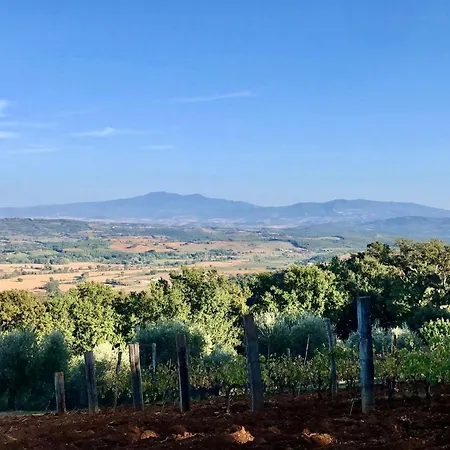Semesterbostad Luxury Overlooking Val D'orcia *