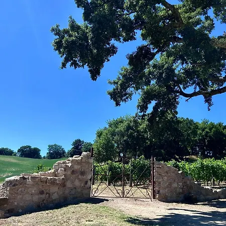 Luxury Overlooking Val D'orcia *